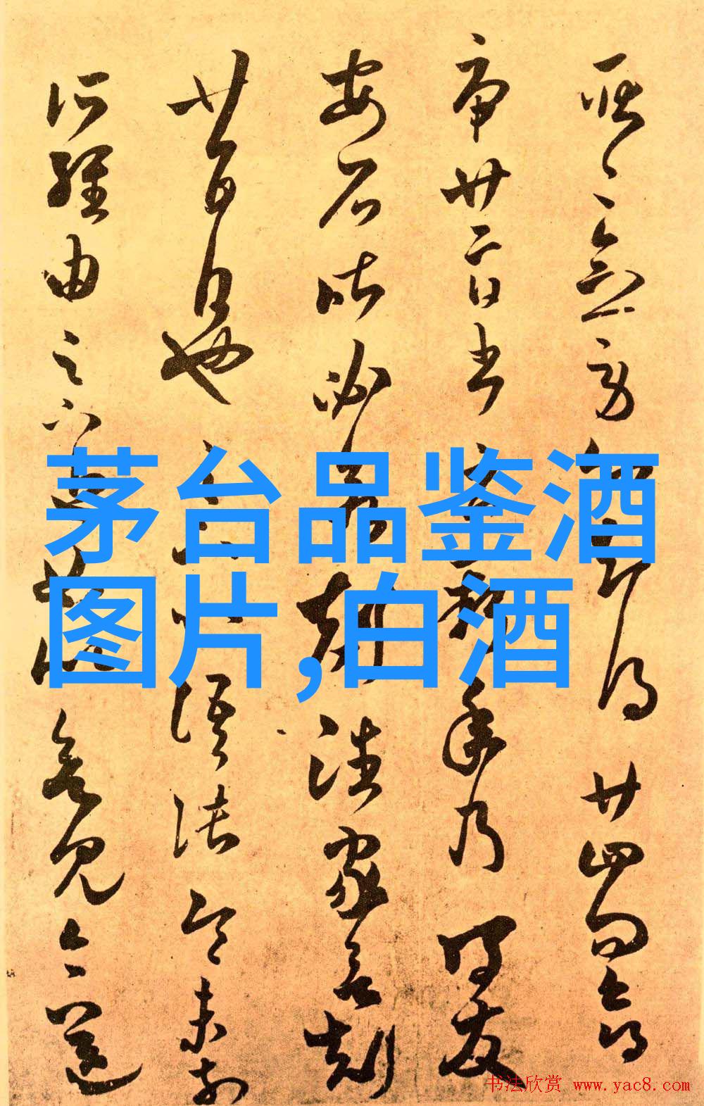 茅台张德芹拥抱合成生物学技术创新开辟传统产业未来赛道