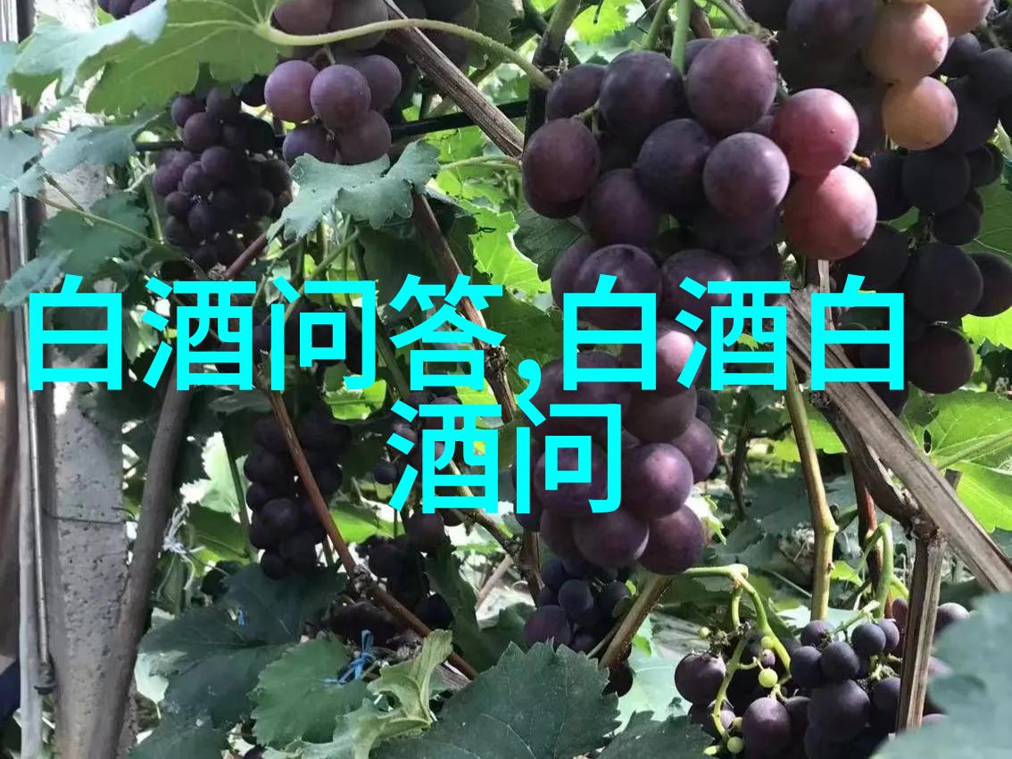 熟啤酒是什么意思熟啤酒是什么意思啊